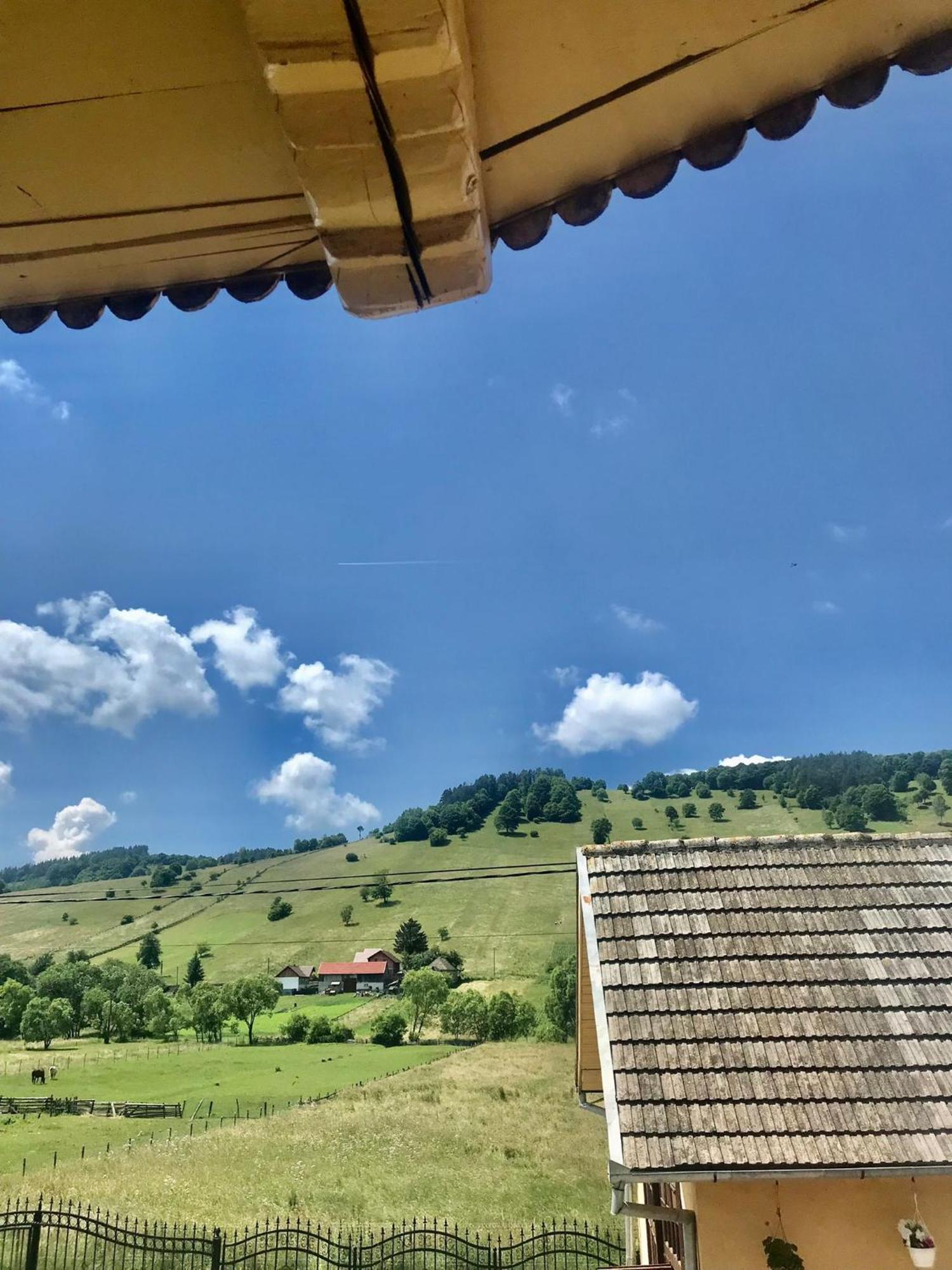 דירות Întorsura Buzăului Casa Asined מראה חיצוני תמונה